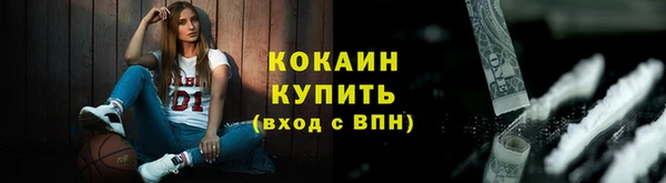 прущие грибы Гусев