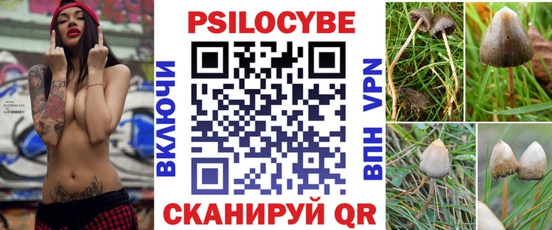 Псилоцибиновые грибы Psilocybine cubensis  Краснознаменск 